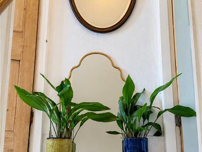 Picture 15
